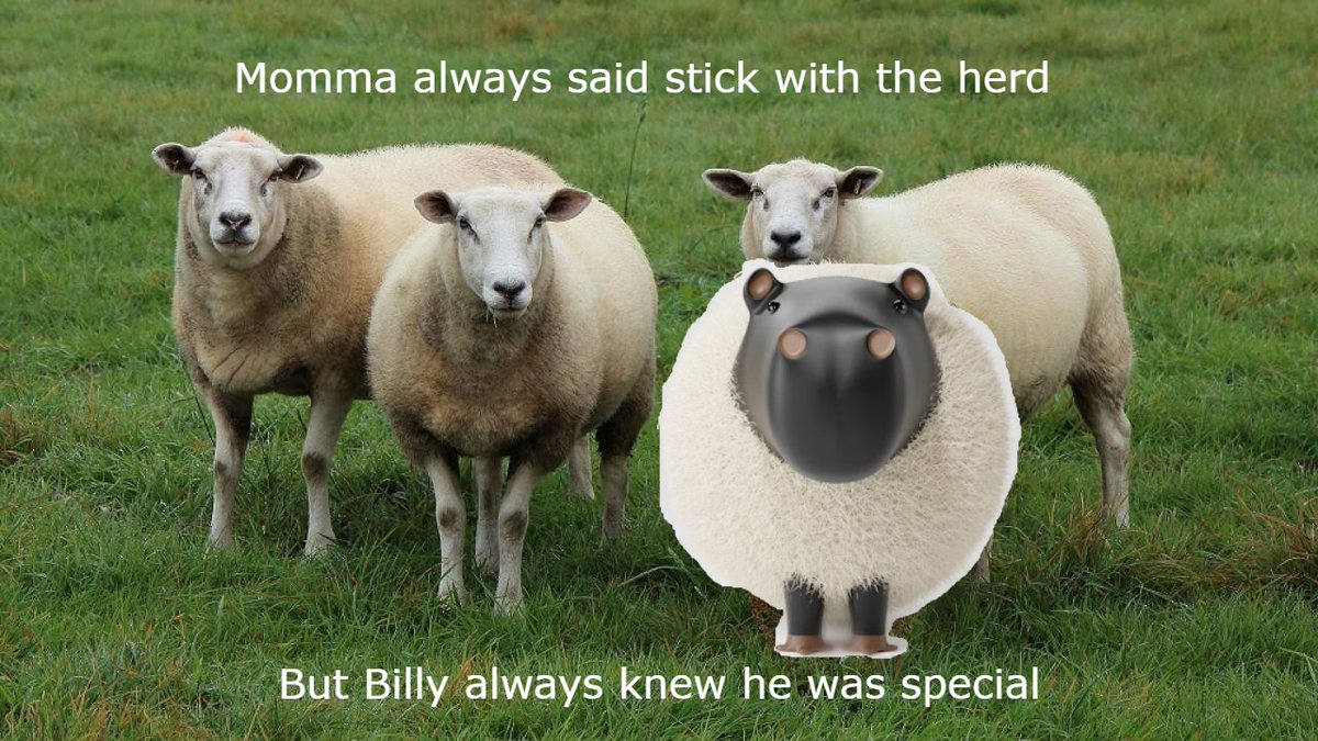 sharts_eth's tweet photo. Anybody else feel like the black sheep?  #cappycrew #capybara @sanping_art @gibmeyourtrash @CryptoYakamit @billychuckfist https://t.co/xT0mFY6U8s