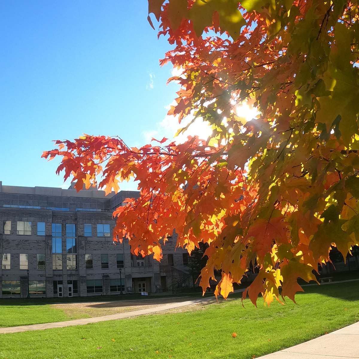 IUBloomington's tweet photo. OMG okay it's happening everybody stay calm 😍🍁🍂 https://t.co/Dk0uEAm652