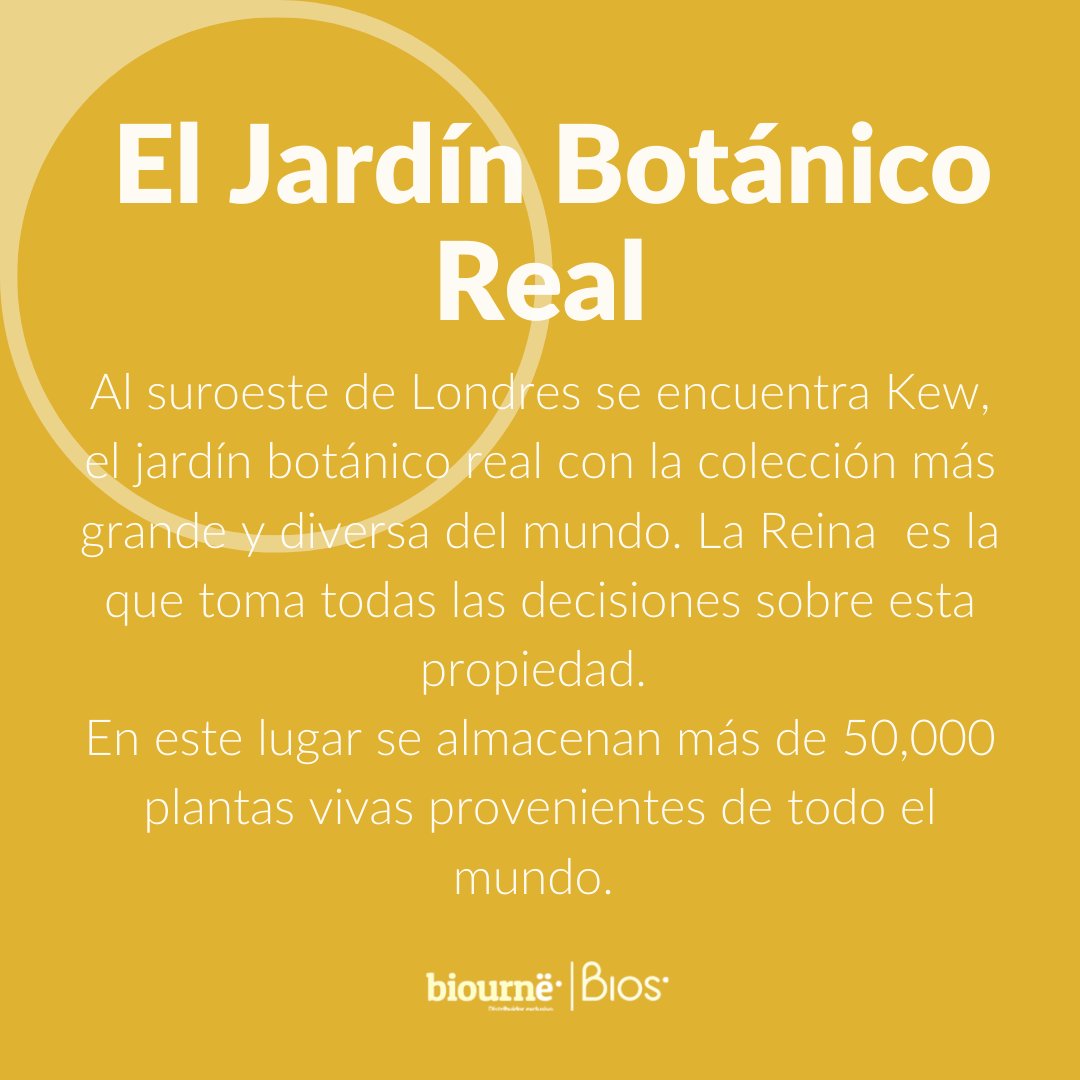 BiourneMx's tweet photo. ¿Sabías que la reina Isabel tiene su propio jardín botánico? 😱 Te compartimos algunas de las excentricidades que se encuentran dentro de él 👇🏻 https://t.co/dXEErW7BuS