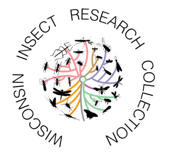 EntCollNet's tweet photo. Now let's take a look at the Wisconsin Insect Research Collection (WIRC) @WIRCInsects with Craig Brabant (@mutillidae) #USA 🇺🇸
#VirtualCollectionTour #ECN2021 https://t.co/7jMK2oU1jr