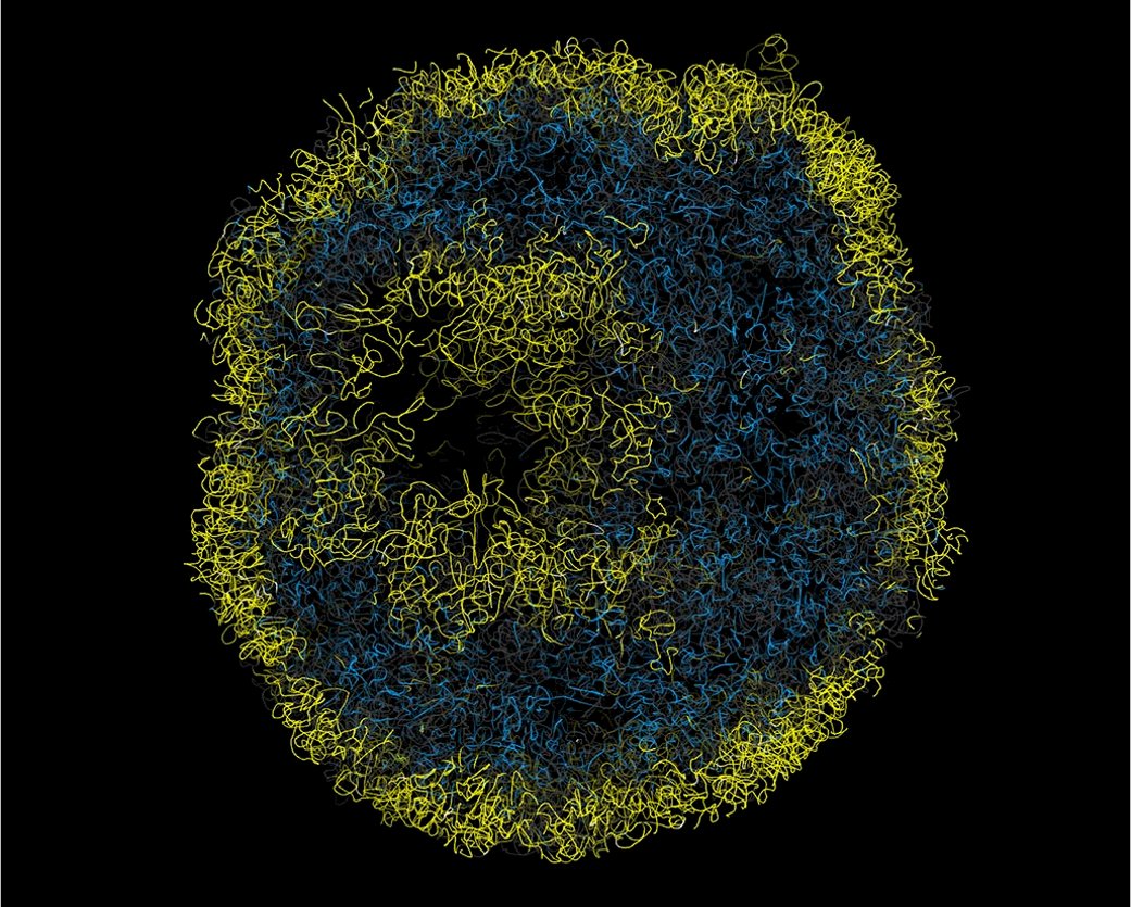 🚨 NEW POSTDOC POSITION
New, exciting position with myself and <a href="/KevinChalut/">Kevin Chalut</a> at <a href="/SCICambridge/">Cambridge Stem Cell Institute</a> to investigate how mechanical signals influence genome architecture in early development!🧬
👉jobs.cam.ac.uk/job/31777/
Deadline is soon.. 15th of November 2021