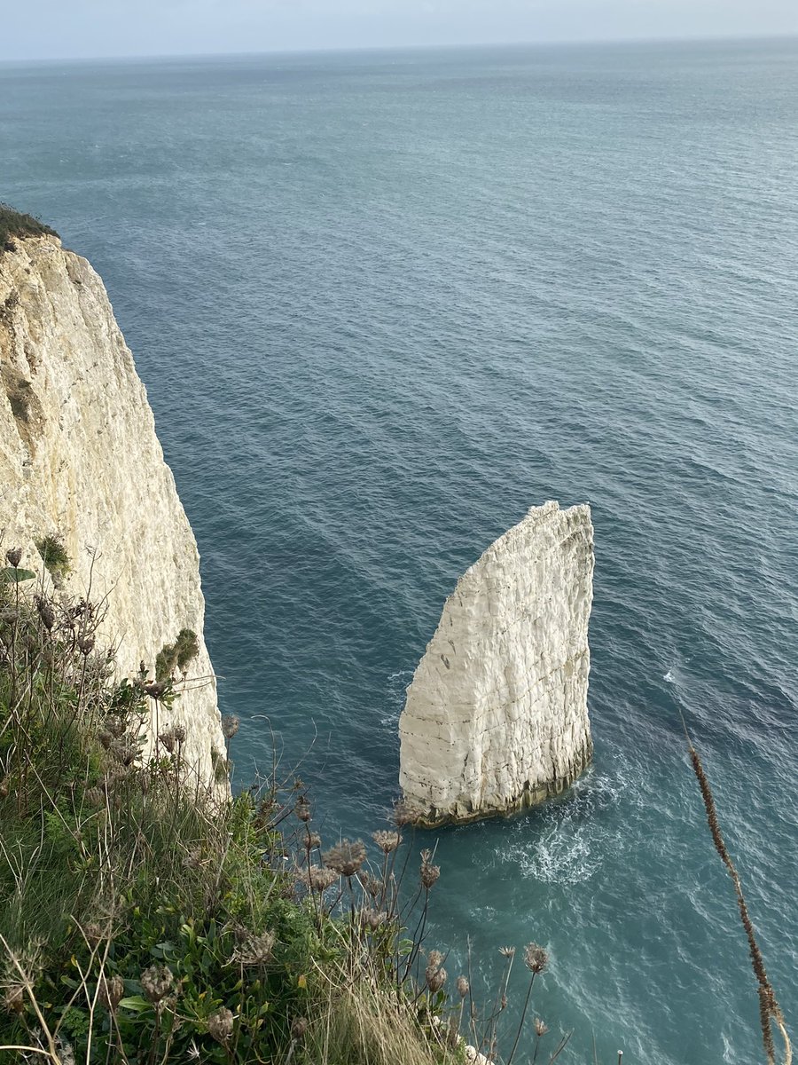 SarahGeography's tweet image. #geographyporn Old Harry Rocks today, looking fab again at the menacing sky. #crack #cave #arch #stack #stump