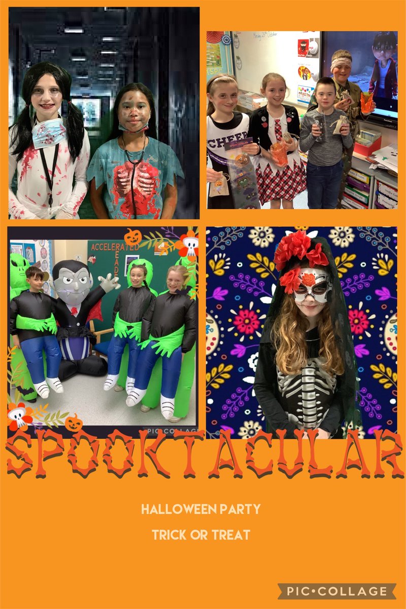 StRonansPS1's tweet photo. #WeHaveTheBestJob #WeAreTeachers and we work with amazing people ..  our pupils 
@MMcIlveenDUP @ShriekingGreek #HappySchoolLearningSchool https://t.co/TQATdkNN5u