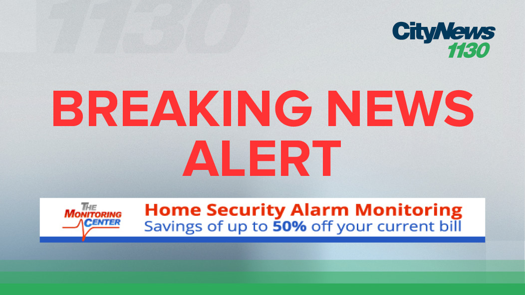 CityNews Vancouver tweet media