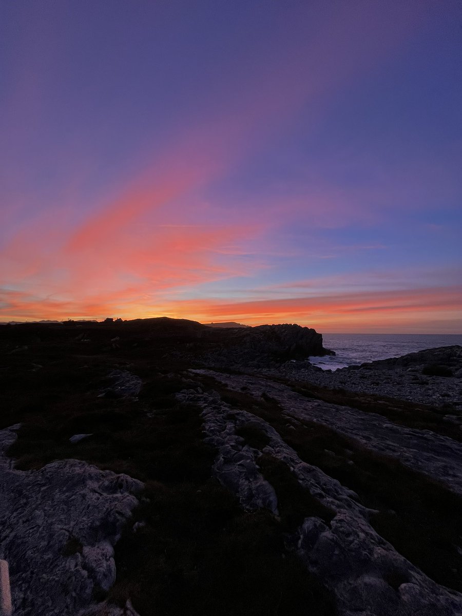 marioo coboo tweet media