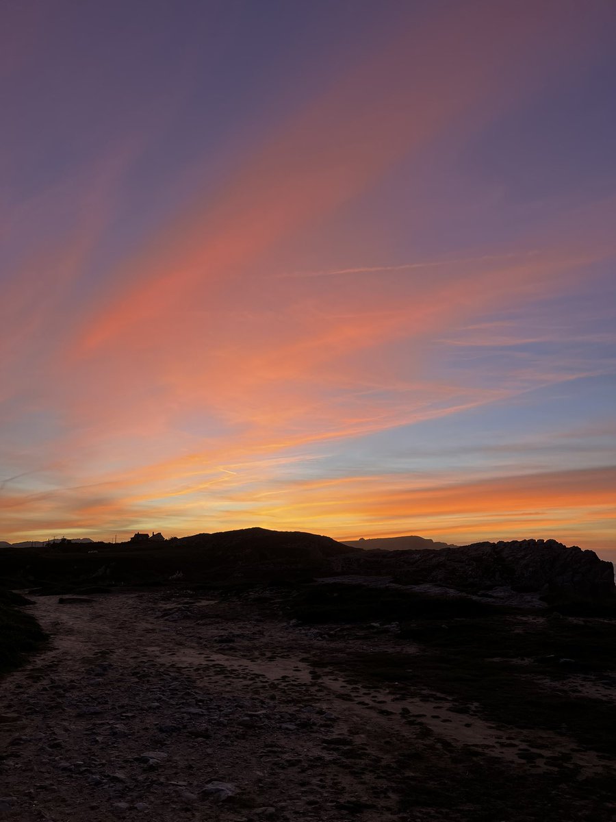 marioo coboo tweet media