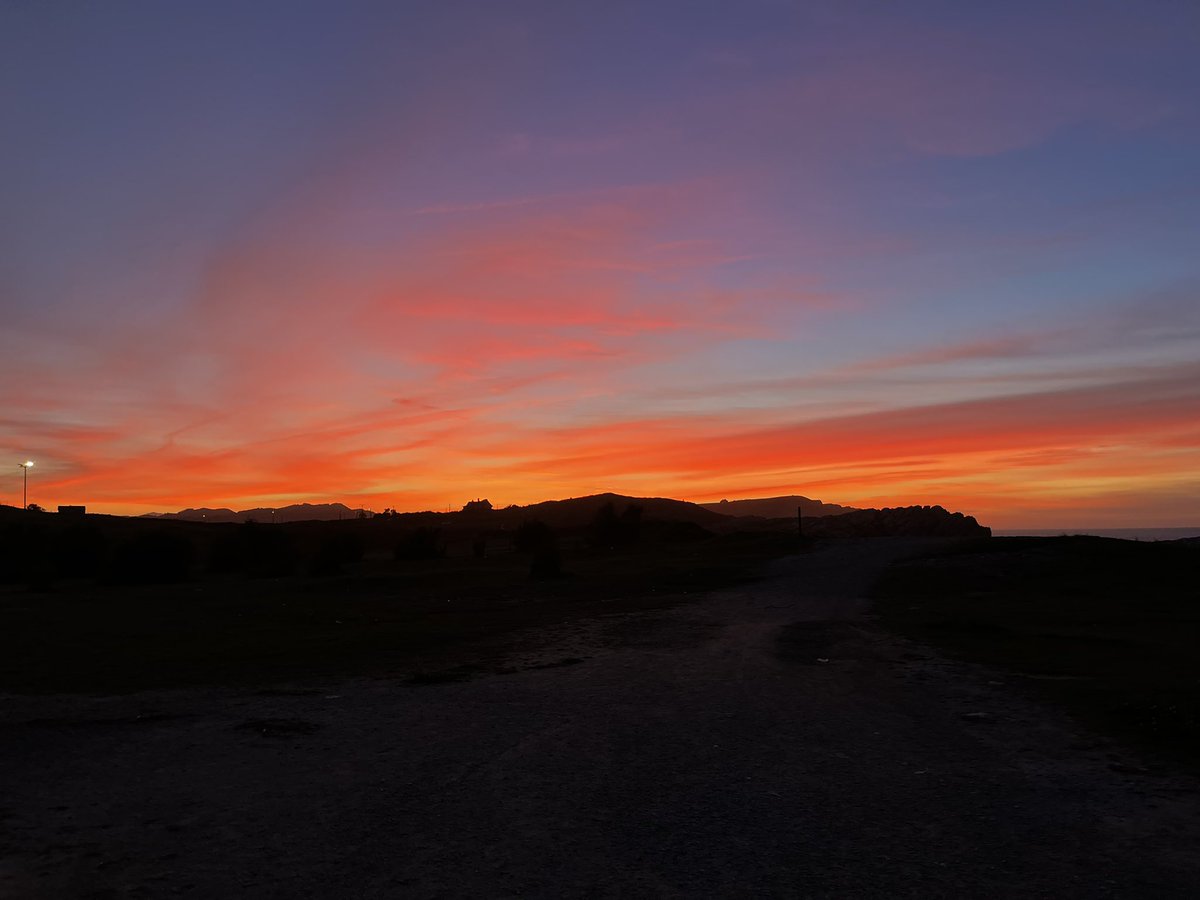 marioo coboo tweet media