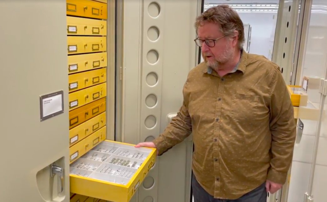 EntCollNet's tweet photo. Andrew Smith, @theognete, and François Génier highlight the strengths of the Canadian @MuseumofNature (CMNC). They estimate there to be 300,000 #weevil specimens in the collection, mostly from the Americas.
#VirtualCollectionTour #ECN2021 #Canada 🇨🇦 https://t.co/qsldzkLAvw