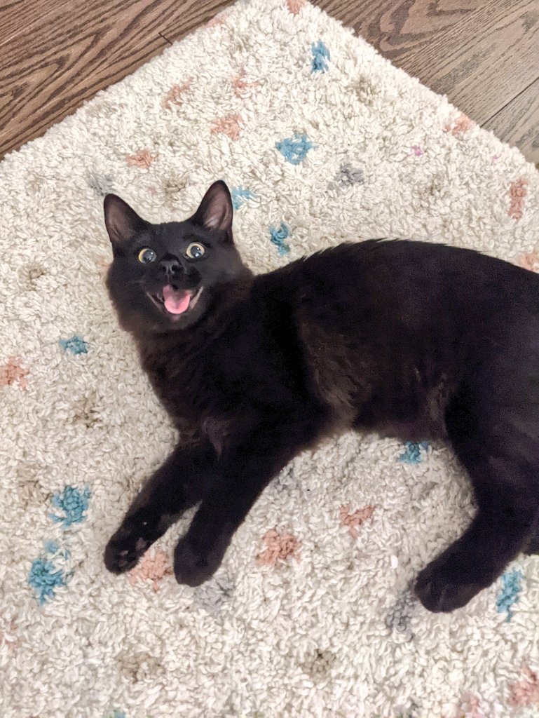 jennie🌷 tweet media