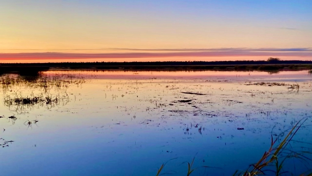 GoBros.com 🧦 Sock Experts tweet media