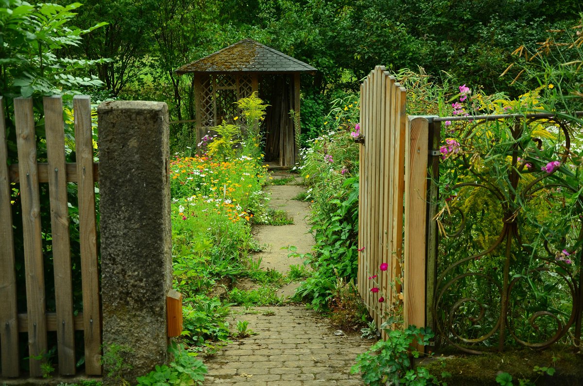 cottageinwood's tweet photo. You discover a hidden garden, and sit down amidst the rambling cottage flowers. This is the perfect place to rest your soul, drink a thermos of hot tea, and bring some of your favorite sandwiches. https://t.co/tdOe1KDLWT