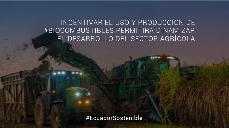 Apale_org's tweet photo. 🍃⛽️ La implementación de alternativas amigables con el medio #ambiente como la elaboración de #Etanol en #Ecuador permite que el campo sea un motor económico para el #DesarrolloSostenible
#APALE #Ecopaís #EcuadorSostenible https://t.co/rlkZFk08w5