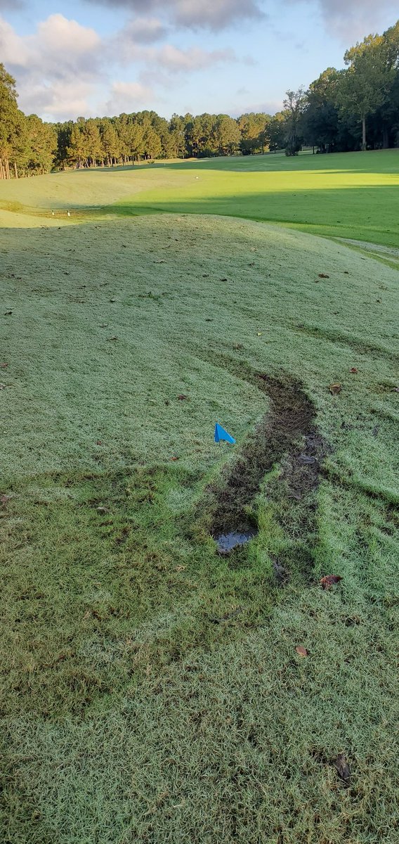 reeebert's tweet image. Geeze!!!!!