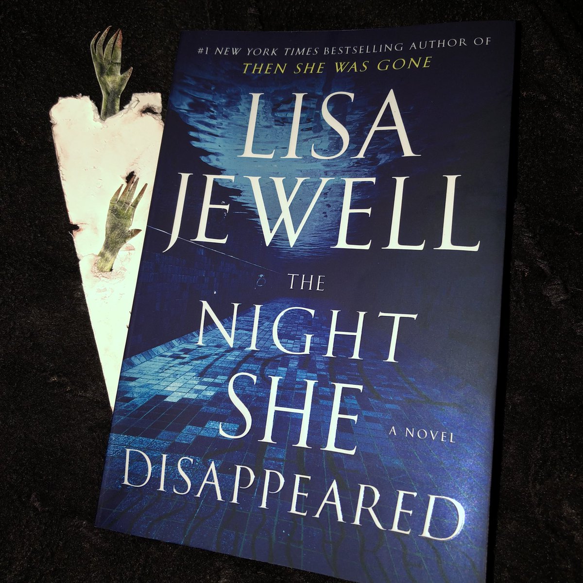 This one had me hooked from start to end! Loved it! #GoRead #TheNightSheDisappeared