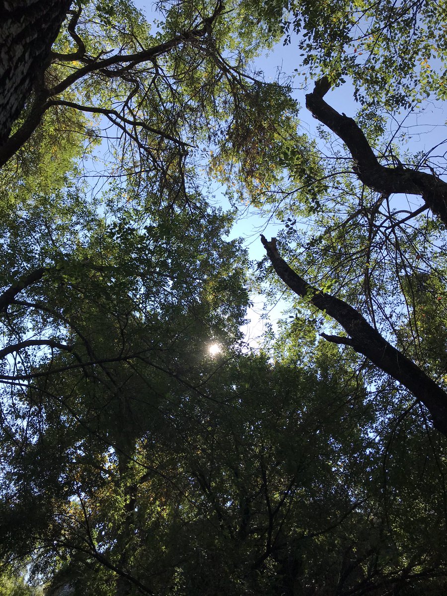 The Cush tweet media