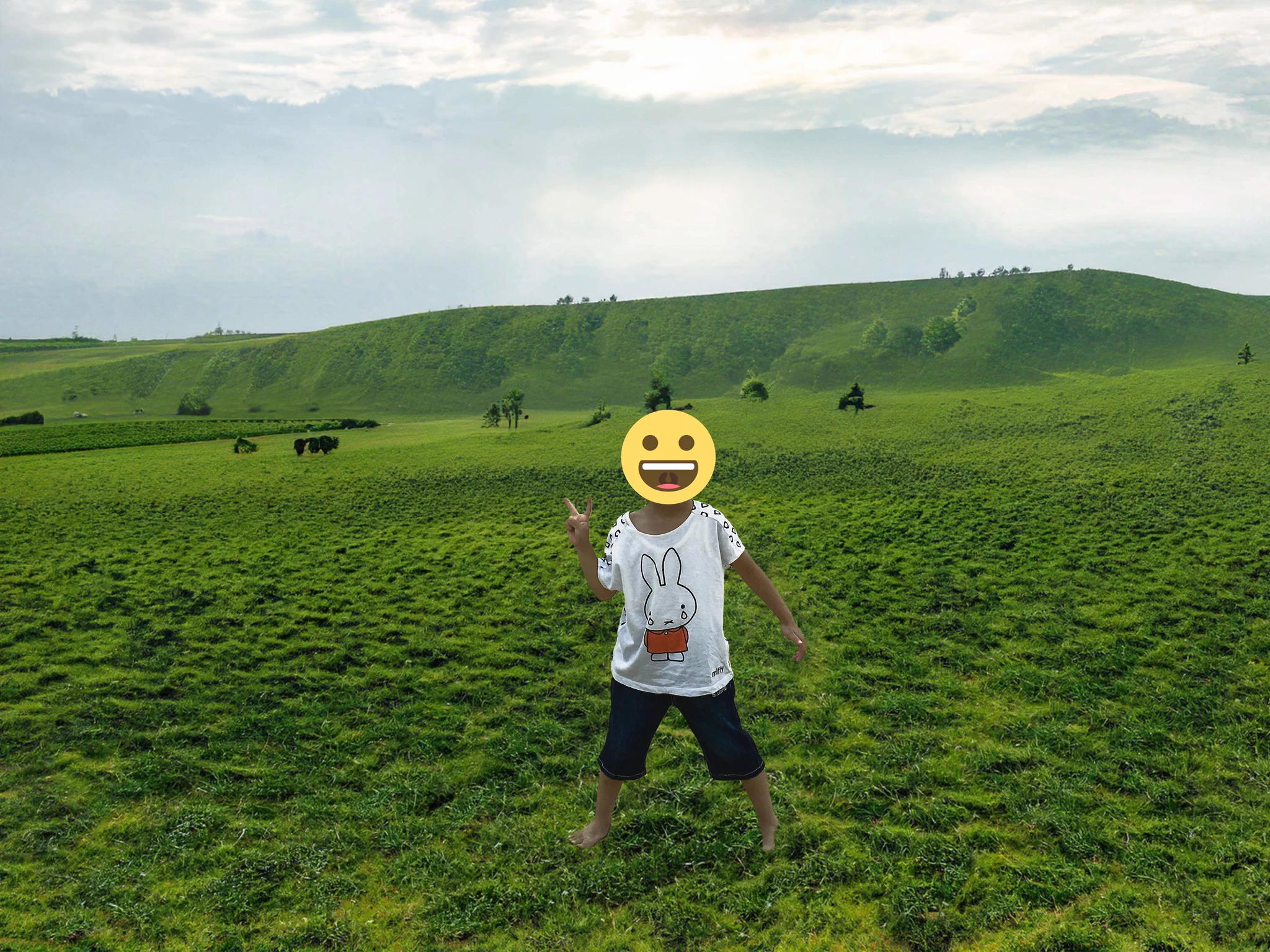 遠くに見える人が植物になってて草。鳥取砂丘が一瞬で緑化しました。