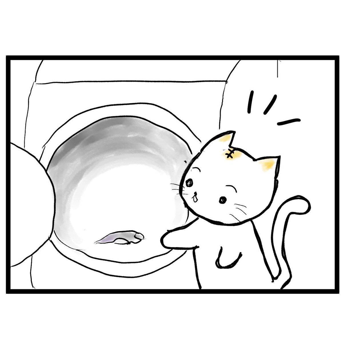 #四コマ漫画
#洗濯物
忘れられたパンツ 