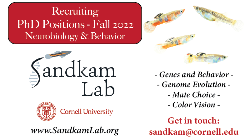 Ben Sandkam (@evoecoaquatics) on Twitter photo 🚨 PhD available - Fall 2022
Want to explore how #animalbehavior is shaped by #evolution of the #genome 🧬?
Accepting PhD students in Neurobiology and Behavior <a href="/Cornell/">Cornell University</a> University! <a href="/CornellNBB/">Neurobio & Behavior</a>
sandkamlab.org/join-us
sandkam@cornell.edu
Pls RT!
#PhDposition #AcademicChatter 🚨 PhD available - Fall 2022
Want to explore how #animalbehavior is shaped by #evolution of the #genome 🧬?
Accepting PhD students in Neurobiology and Behavior <a href="/Cornell/">Cornell University</a> University! <a href="/CornellNBB/">Neurobio & Behavior</a>
sandkamlab.org/join-us
sandkam@cornell.edu
Pls RT!
#PhDposition #AcademicChatter
