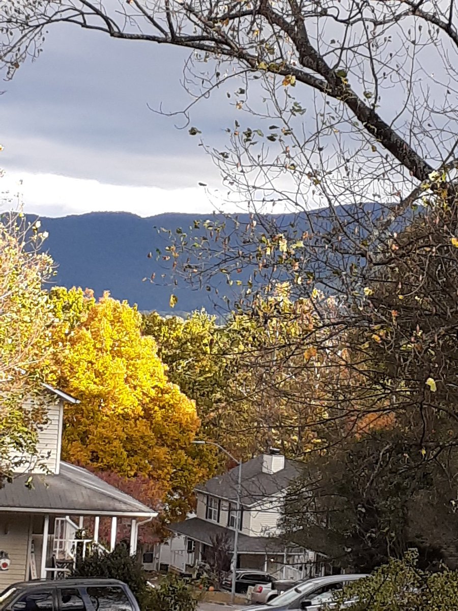 ShilohSale's tweet photo. No filter AVL NC https://t.co/BVyNGhgnUS
