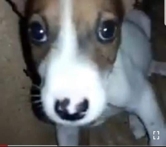 @sxgalips a veia e casada ja  quer come casada