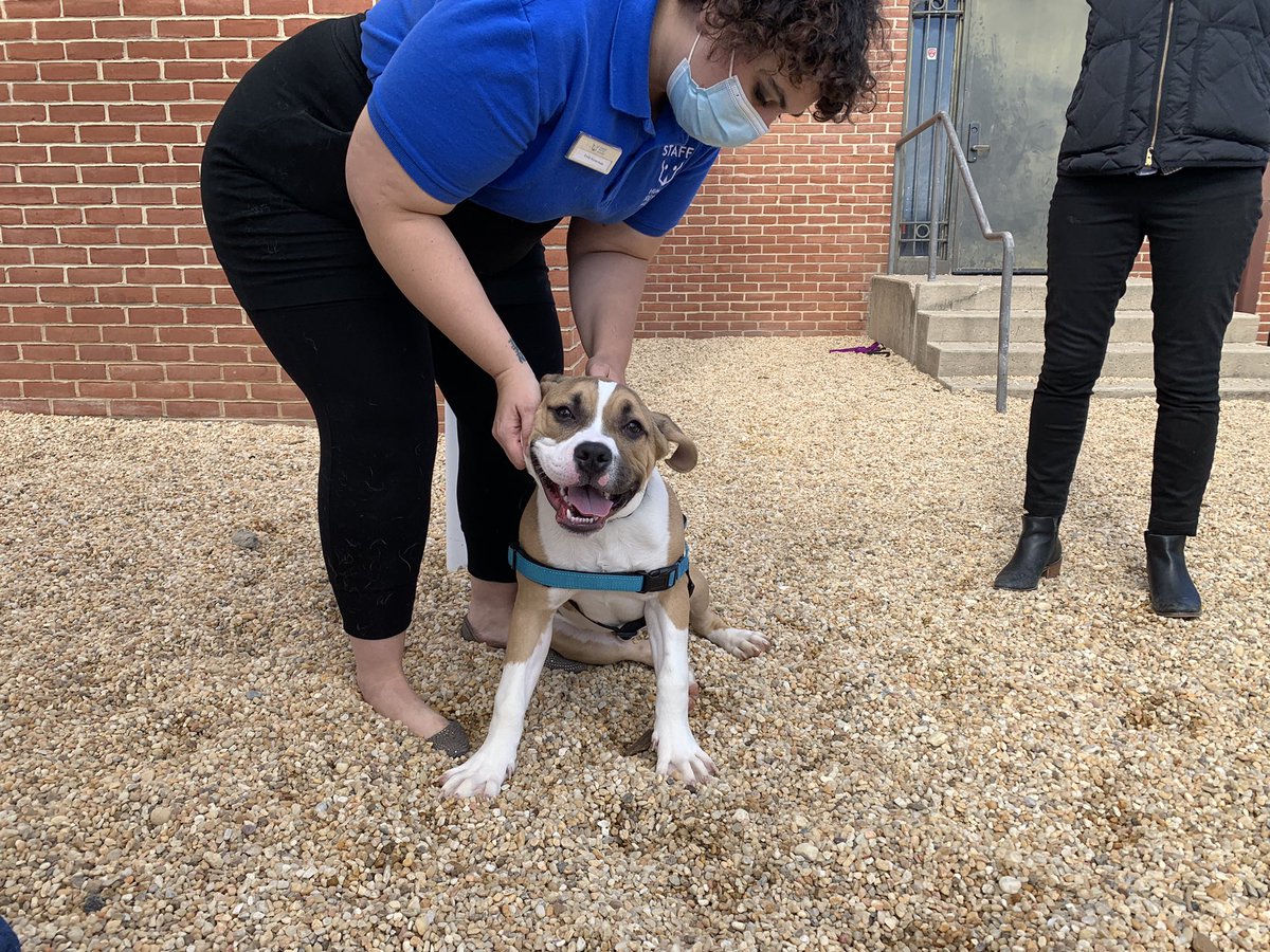 truthshallnlwh's tweet photo. Today, for #DomesticViolence Awareness Month, we introduced our sister agencies @DCMOWPI @OVSJG_DC @DCHumanRights to the Safe Haven program at @HumaneRescue. Victims get free help caring for their pet family while they secure safe housing. So many ideas for new partnership! https://t.co/YOCOALlHvF