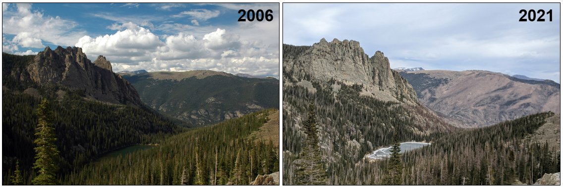 1/n Fascinating hike through the #EastTroublesomeFire in @RockyNPS last Sat., 1 yr after it jumped the Continental Divide during the dramatic run of 20-23 Oct. In 4 days it grew from 18,600 to 188,000 ac.! Like many, I’m wondering: what's next for these #forests after #wildfire?