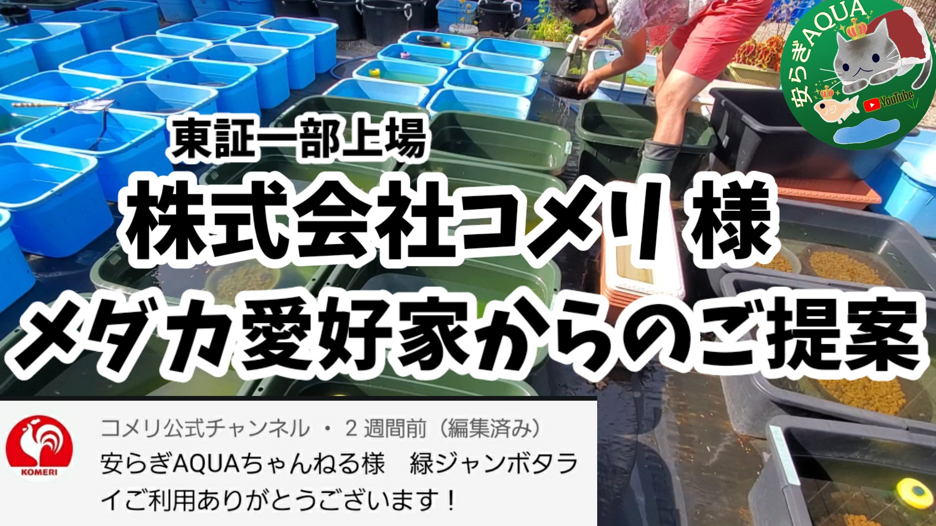 株式会社コメリ Twitter Search Twitter