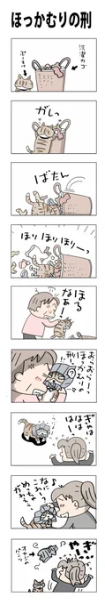 ほっかむりの刑#こんなん描いてます #自作まんが #漫画 #猫まんが #4コママンガ #NEKO3 