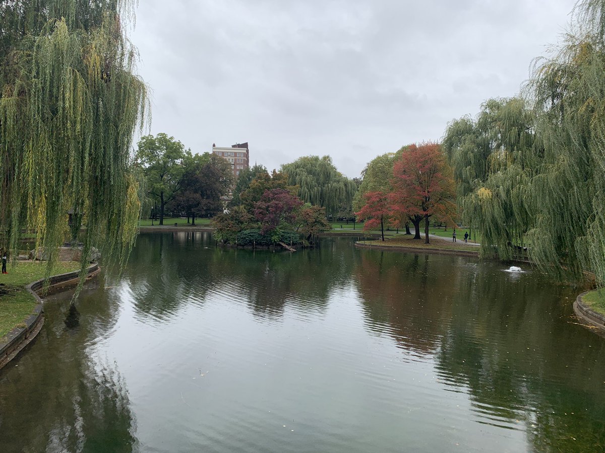 Callie Torres, DO, MS tweet media