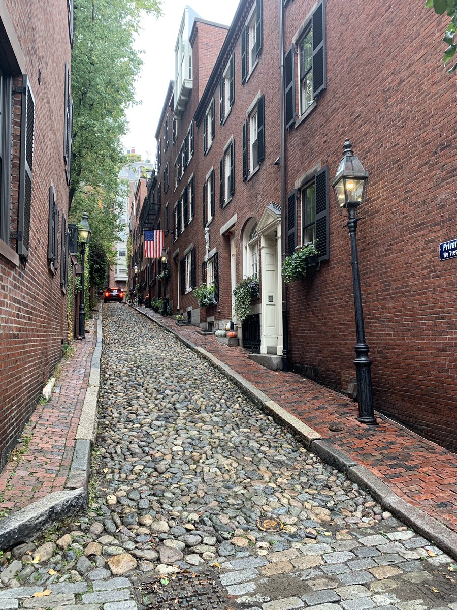 Callie Torres, DO, MS tweet media