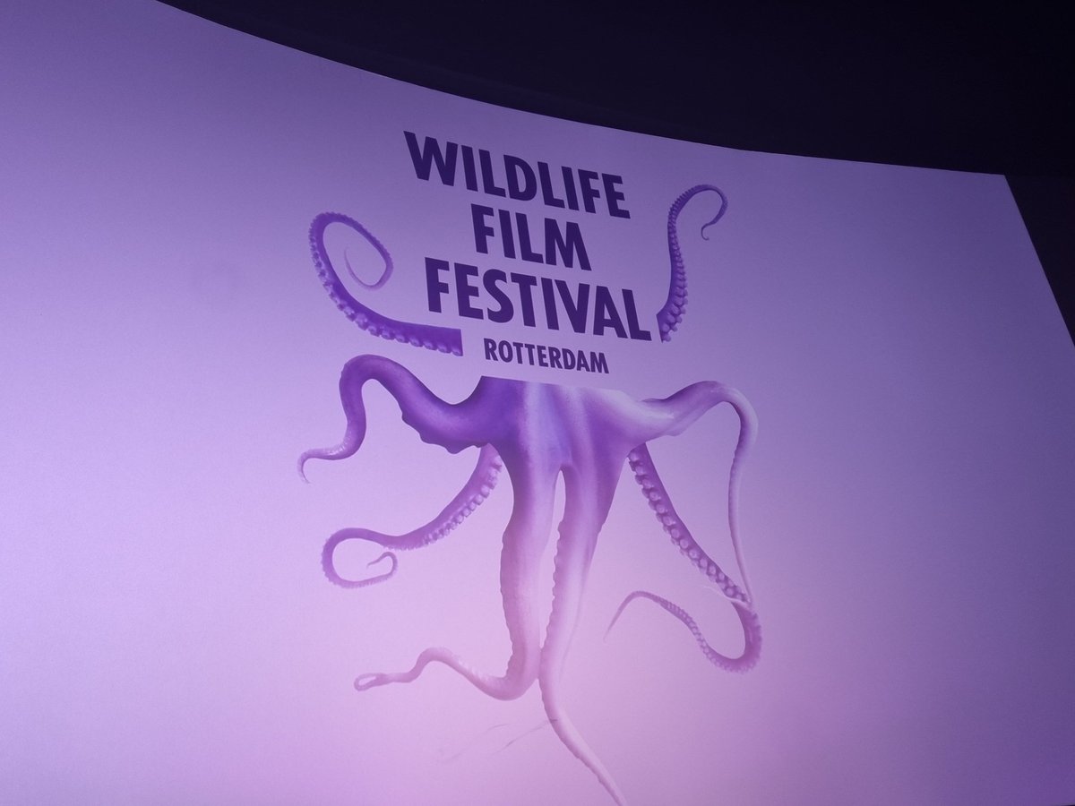 MaaikeWermer's tweet photo. Silence of the tides was de openingsfilm van het Wildlife filmfestival in Rotterdam vanavond. In prachtige en soms hele rauwe, beelden laat de regisseur je 'de ademhaling' en de verbondenheid van het internationale waddengebied ervaren. Aanrader. #WFFR #silenceofthetides https://t.co/D3lAcvv9z6