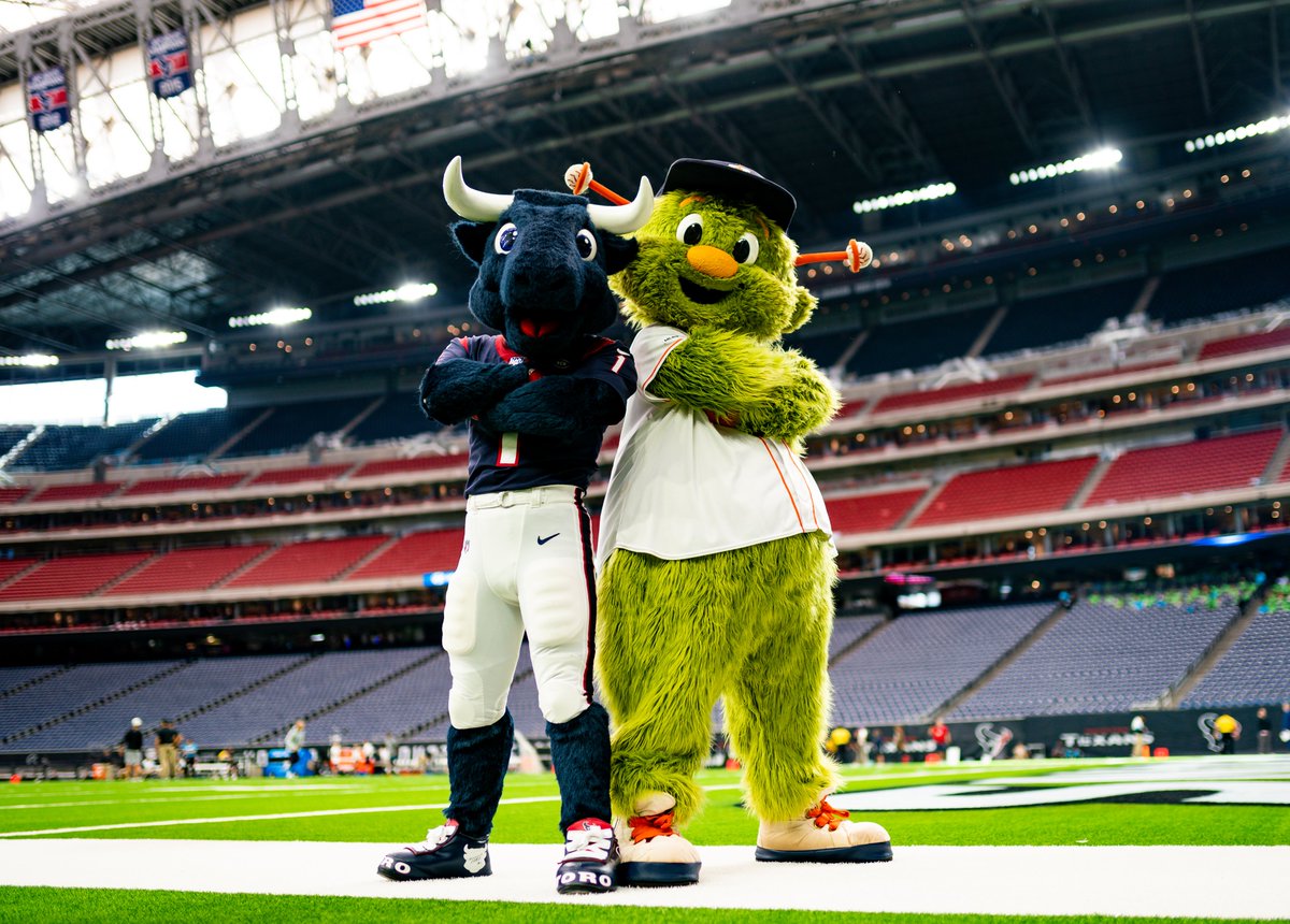 Houston Texans tweet media