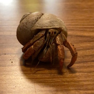 Ceasarzwrld's tweet photo. #NewProfilePic https://t.co/9DL3wk2n53