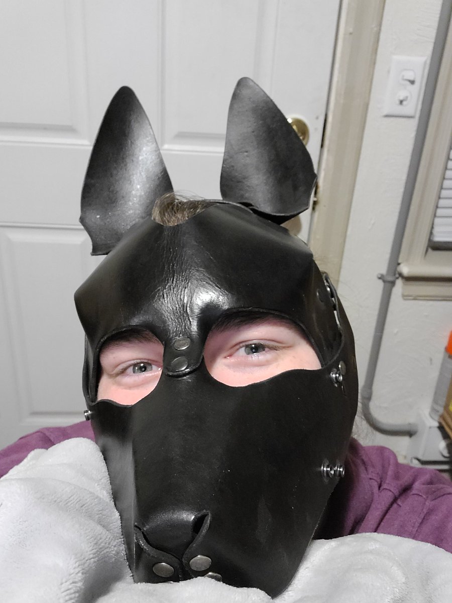 PupBasyllAD's tweet photo. Have some fresh puppy pics https://t.co/l7Y9KxvsA0