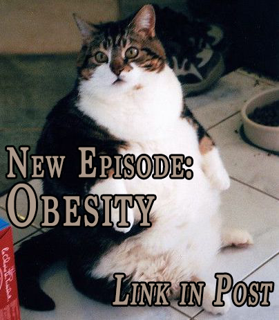 KittenKPod's tweet photo. https://t.co/V8idTdEyeZ

#Obesity is the most common preventable condition in #cats today, and it causes more problems than people think. So for this #podcast episode, we'll discuss the criteria, what causes it, and how to help your pet get back to an ideal weight. #CatsOfTwitter https://t.co/LnxI0PSzKQ