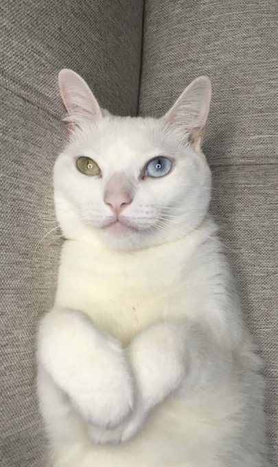 Por favor ay&uacute;dame a compartir, se dar&aacute; recompensa $$$ https://t.co/SFP3cJsDaL