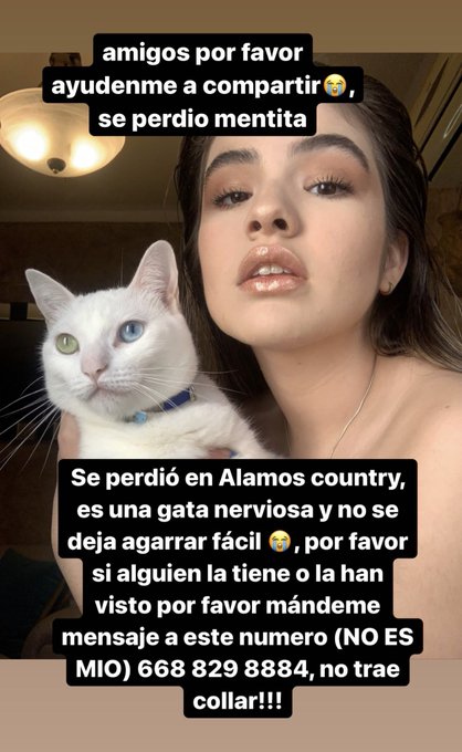 Por favor ay&uacute;dame a compartir, se dar&aacute; recompensa $$$ https://t.co/SFP3cJsDaL