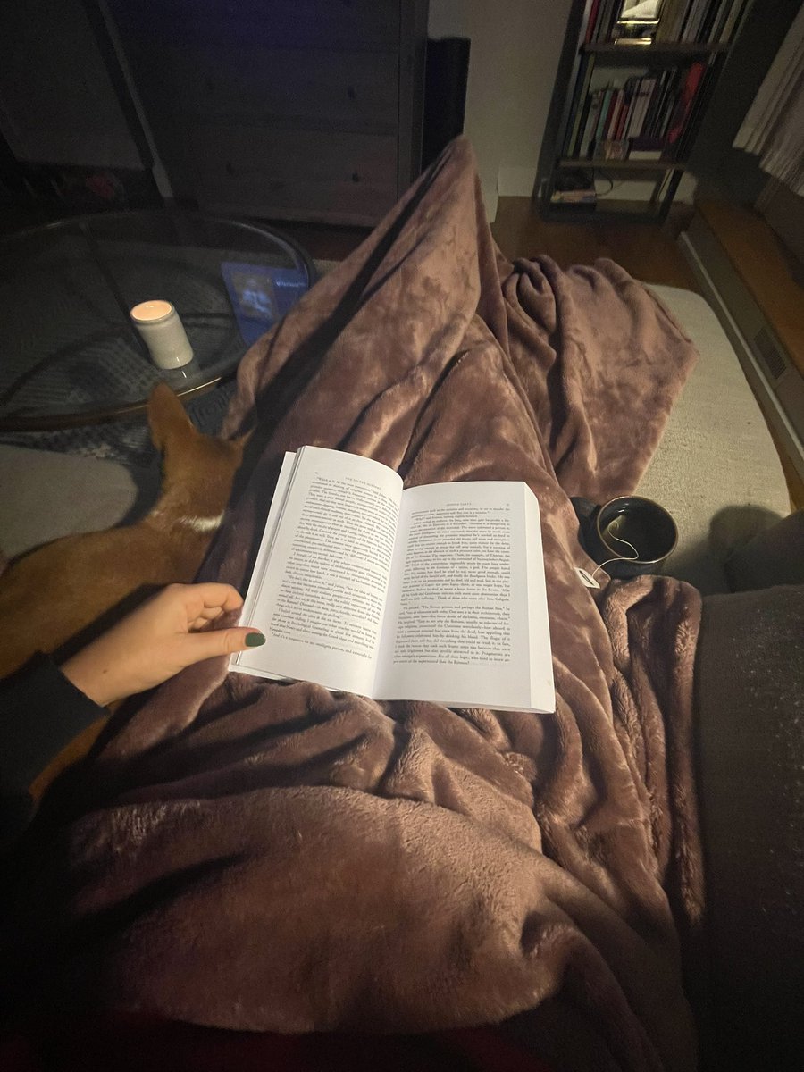 Lynne Carty tweet media