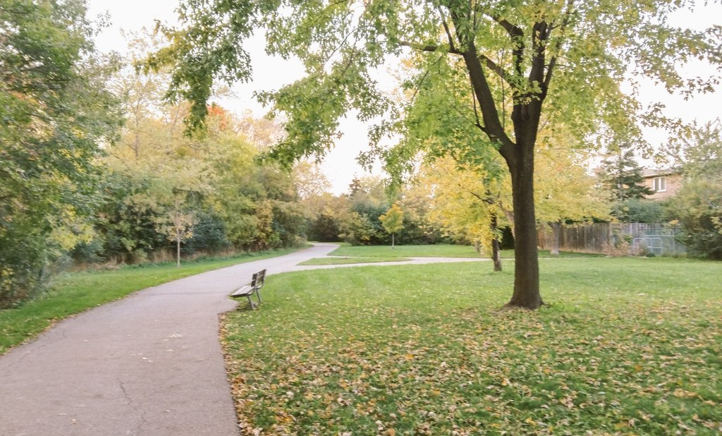 KShahiwala's tweet photo. A refreshing walk is equal to the satisfaction after completing a project. #walk https://t.co/tSxxq21lly