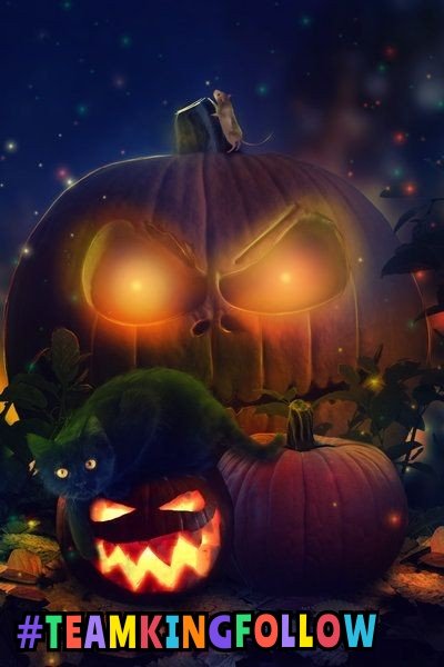 #TEAMKINGFOLLOW
VIP 💥♥️

<a href="/Eles26/">Eles Durán</a>
<a href="/Magdale_Aguilar/">꧁🅼🅰🅶🅳🅰❥꧂</a>
<a href="/ElesitaDuran/">Elesita Duran 💞</a>

<a href="/IfbSdv/">#FriendsFollowers</a>
<a href="/R3_Adv/">JarodKOPI🇮🇩</a>
@Zulehik
@Behatriz_
@biaBDSM
<a href="/Sahara_ii/">⭕Sahara 5̳0̳K̳ ♨️</a>
<a href="/jovenaso_/">Erubiel Corodva</a>
<a href="/GreeicyYai/">💙 GREEICY 💙</a>
<a href="/f_a_r_a_h_9/">🅵Ⓐ🆁Ⓐ🅷 🅶Ⓐ🅸Ⓝ🆂 🤍🤍</a>
<a href="/SueliRizzi3/">Sueli Rizzi 🌻🇧🇷</a>
<a href="/anaraquellr/">Ana Raquel 💚🌵 #1 Gamora 🌵☘️</a> 
<a href="/glenton123/">Mark Glenton/ Mindfrontiers🤵🧐</a>
<a href="/nunespereirabr/">𝑀𝑎𝑟𝑖𝑎 𝒥𝑜𝑎𝑜</a>
<a href="/cristiangreySDV/">♥🅲🆁🅸🆂♥#RGSDV</a>
@Princesa_DoPai_
<a href="/Yeiner01628678/">Yeiner</a>
<a href="/jasmine50012486/">🌼࿐♡ᒍᗩSⓂ️İᘉᕮ🌼｡･ﾟ♡ﾟ</a>