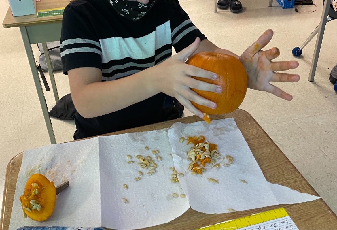 Using our senses to improve our descriptive writing.