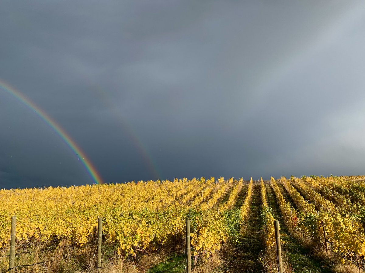 Lisa Kadane tweet media