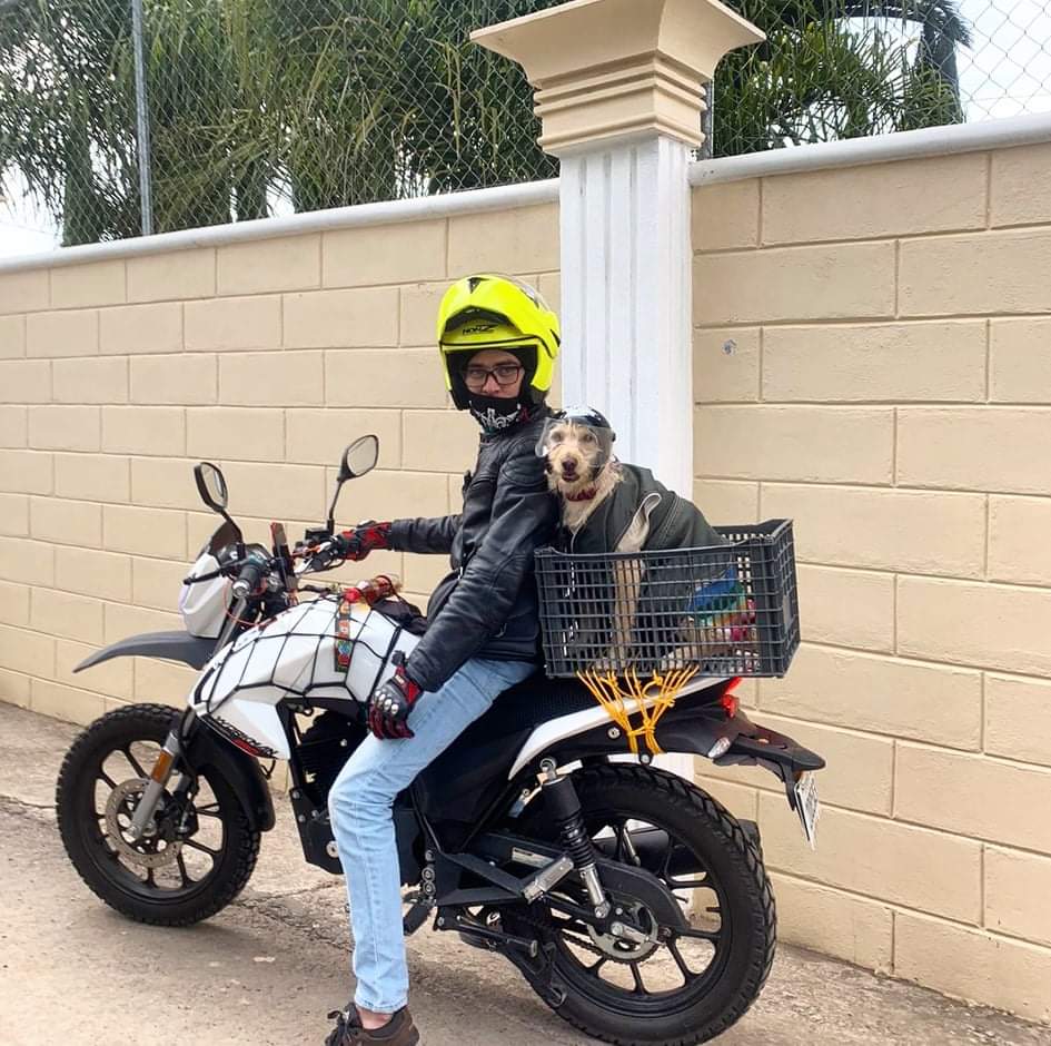 outlawmx's tweet photo. Dale estiló y seguridad a tu mascota para rodar! 😊✌️

Otro cliente satisfecho y listo para rodar! 😊✌️

#CascosParaMascotas 🐾
#CascoParaPerrito 🐕
#CascoParaGatito 🐈

📞5523785954
https://t.co/ycRkA165Ev

CDMX - Hacemos envíos a toda República Mexicana. https://t.co/7tXNs2ISsD