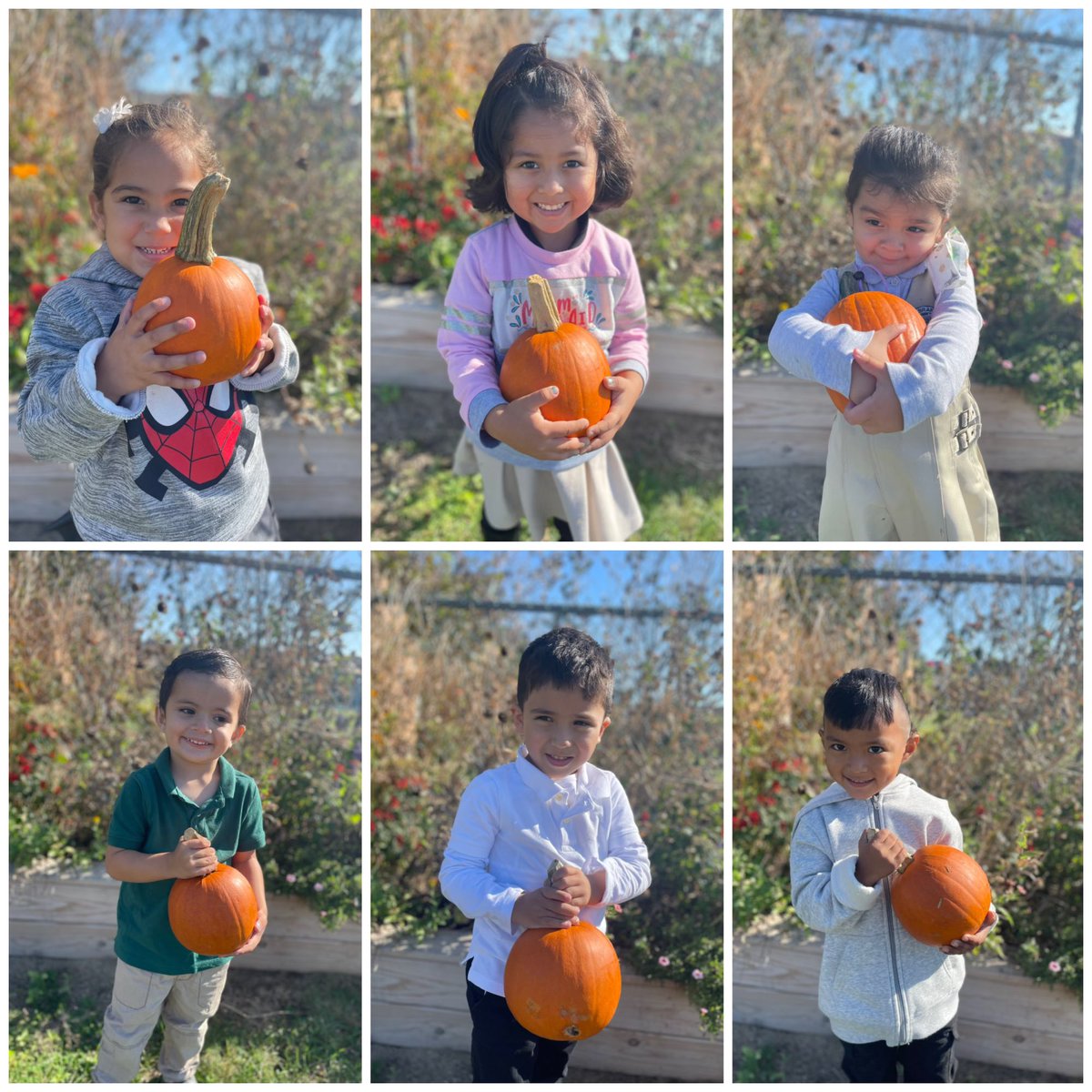 kimsw2871's tweet photo. Their day was filled with lots of sunshine, engaging activities, and fun at the Fall Festival at JMFECLC 🎃 #togetherwecan #juntospodemos @NatalieBauer20 @EDUtherapy2 @LB_SchooIs https://t.co/m1nXmHMgxD