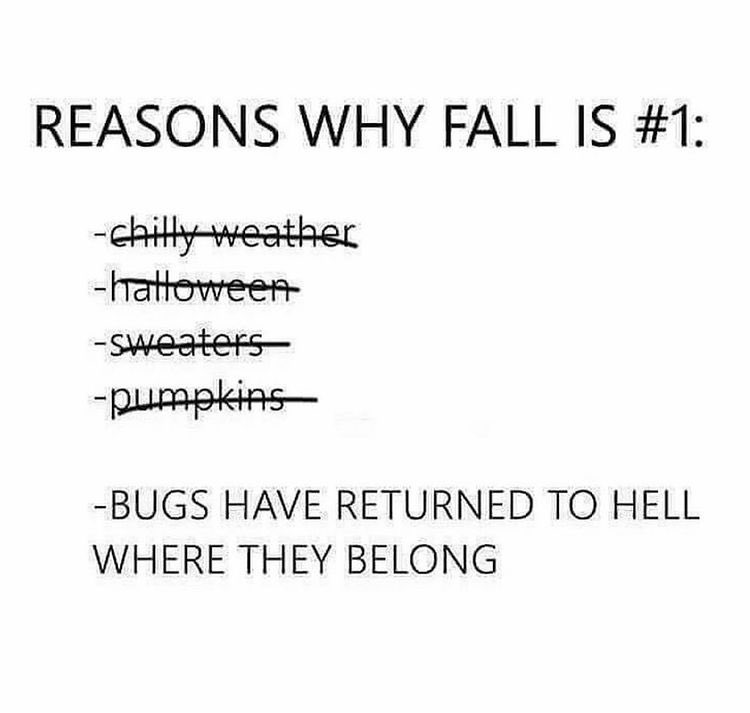 BirrelleBee's tweet photo. My sister @missbirrell sent me this. Truer words NEVER written. Except you, bees. We ❤️ u. Thank you for your service
#fallthoughts https://t.co/rD2IurZ8pG