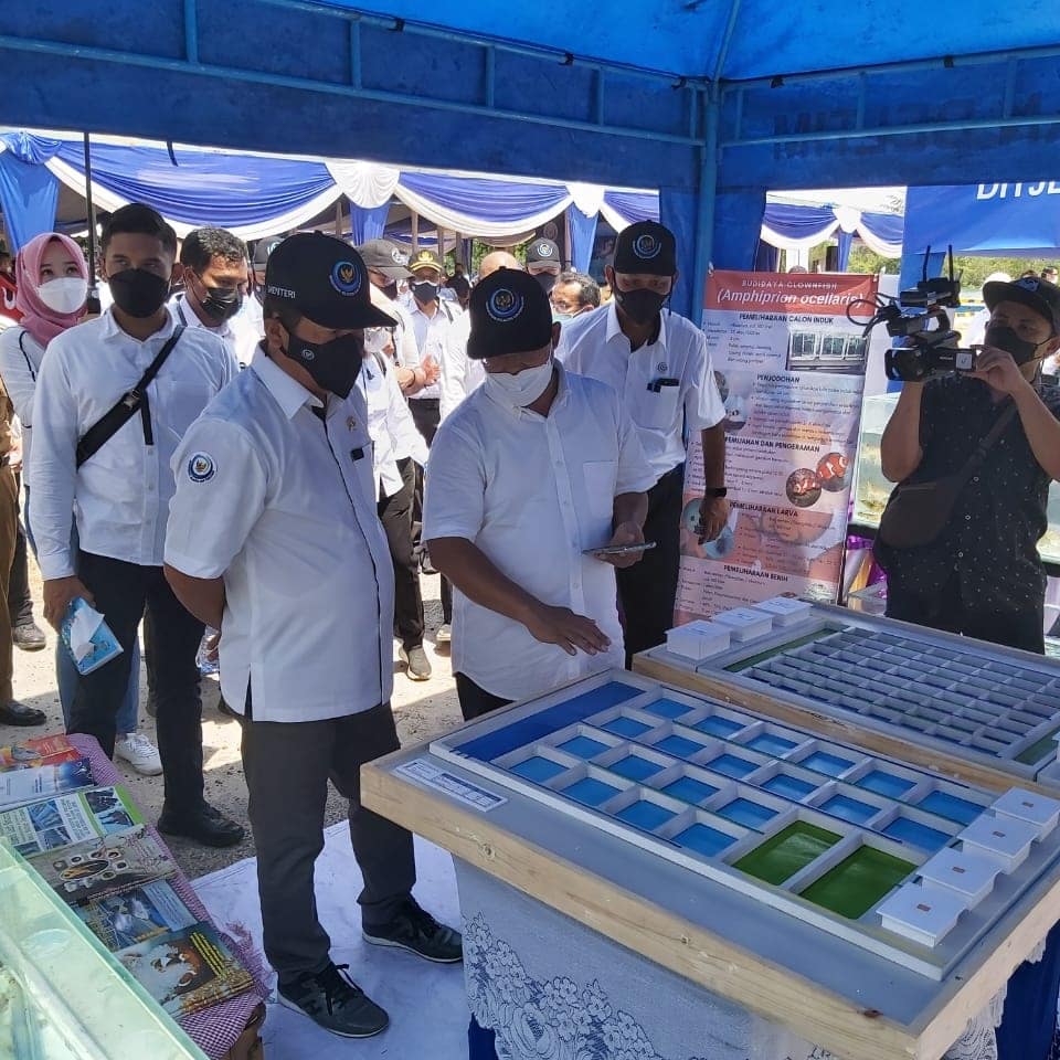 BudidayaKKP's tweet photo. Pagi, #SahabatBahari @kkpgoid, Menteri Kelautan dan Perikanan, @saktitrenggono mengunjungi stand pameran Direktorat Jenderal Perikanan Budidaya dalam rangka Peluncuran Ekonomi Biru, Laut Sehat, Indonesia Sejahtera pada #hutkkp22 di Belitung Timur (26/10) https://t.co/E9C3FAfrwS
