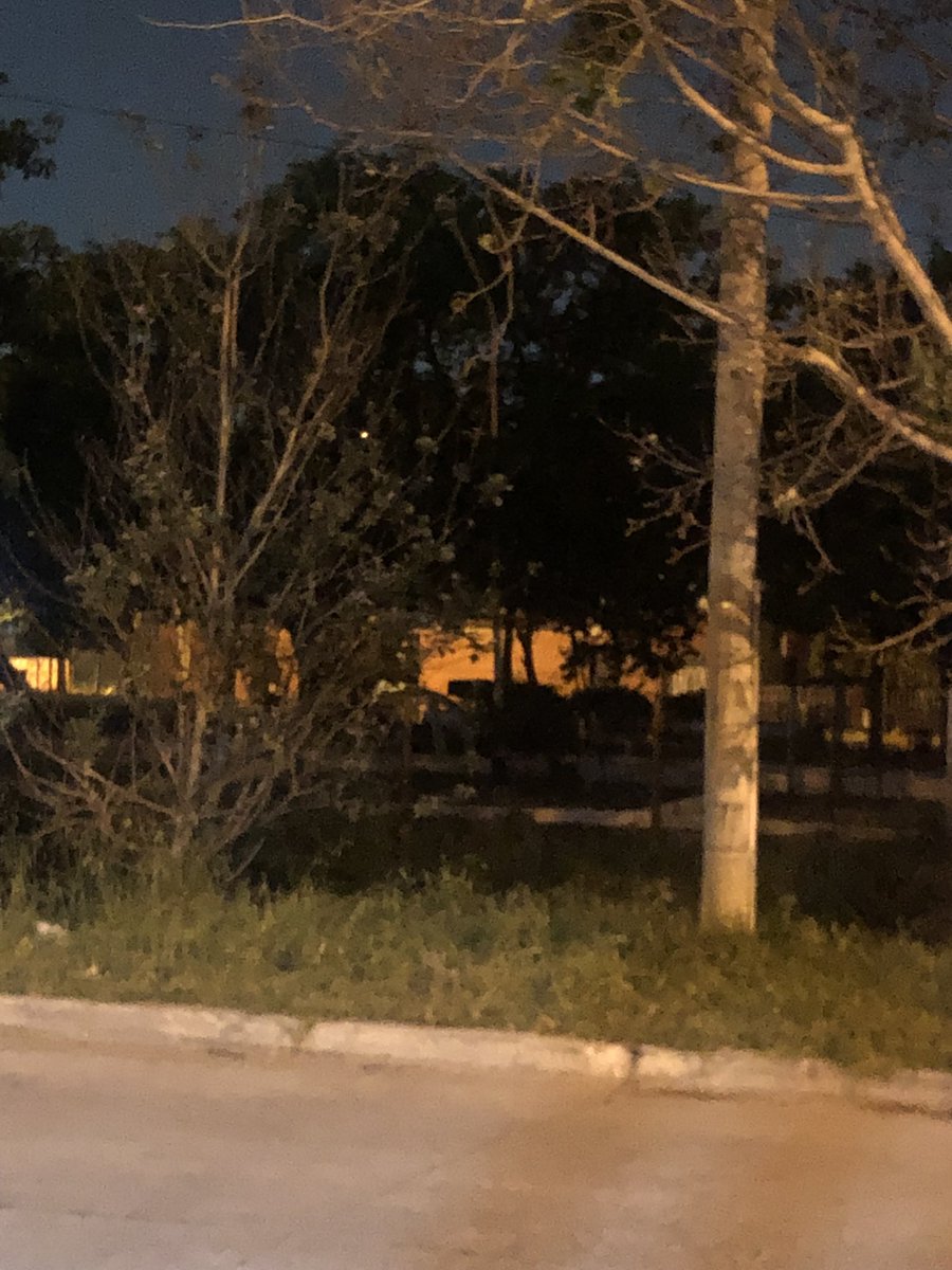 pablifernandez7's tweet photo. A oscuras juegan los nenes  ,necesitamos luz en la  plaza de la entrada de Aldo Bonzi @MLaMatanza entre las vías y Pinedo 🙏🙏 https://t.co/ae4AHwypHD