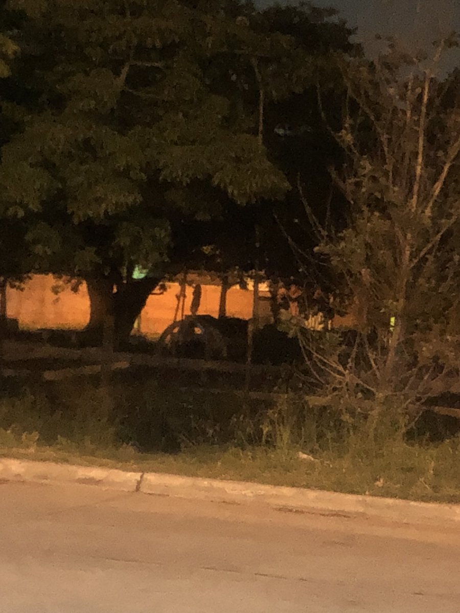 pablifernandez7's tweet photo. A oscuras juegan los nenes  ,necesitamos luz en la  plaza de la entrada de Aldo Bonzi @MLaMatanza entre las vías y Pinedo 🙏🙏 https://t.co/ae4AHwypHD