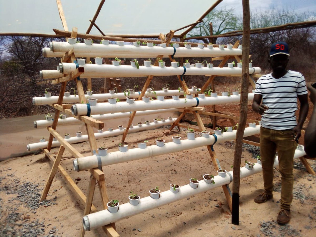 FavreJosephine's tweet photo. After DRC, the AAVF team finalized another project in Kenya together with Students at the Lukenya University Campus. 

Capacity Building: 

AAVF continues changing lives by introducing vertical farming as a sustainable technology to alleviate food security in African. https://t.co/bqPN59Rwqx