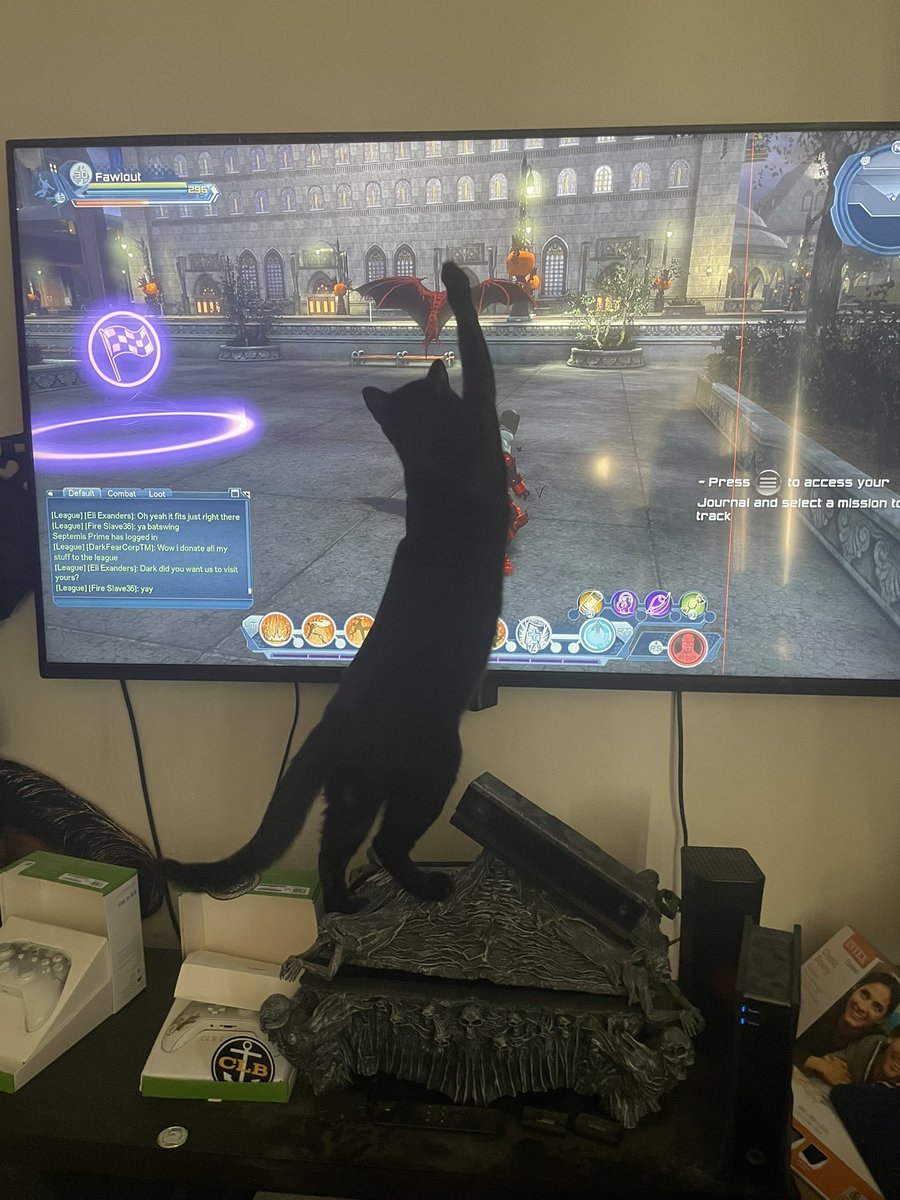 MrFawlout's tweet photo. My cat trying to attack my pet bat as I’m flying around Gotham in #DConline #DCUniverse https://t.co/iruDmNKj3x